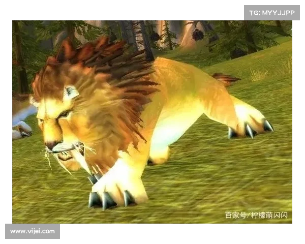 魔兽世界怀旧服：宠物升级乐趣无限